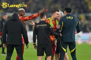 592472386 122197611626550883 889 692e58517d0a7